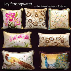 The collection of pillows from Jay Strongwater velvet pillow luxury 3D Models 