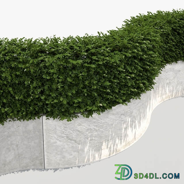 Hedge white plantere 3D Models
