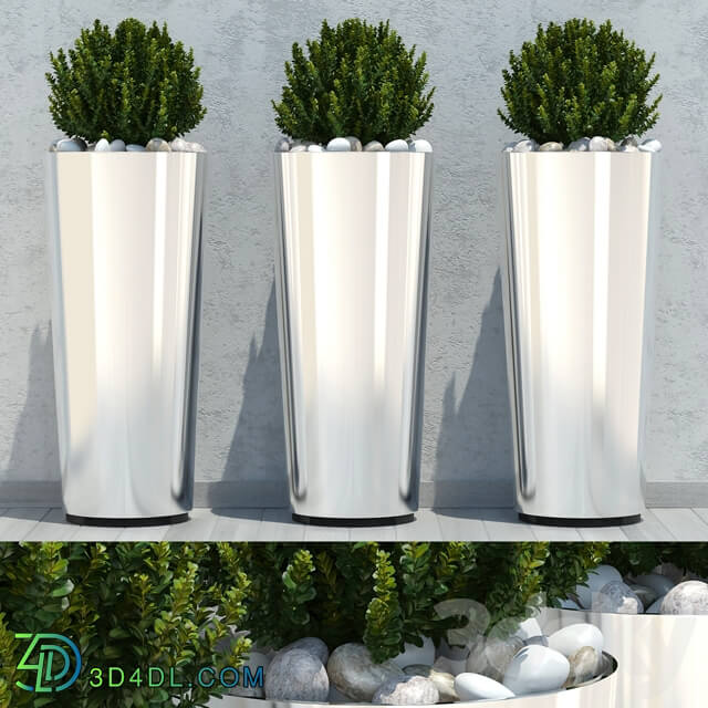 Ball plant 03 3D Models