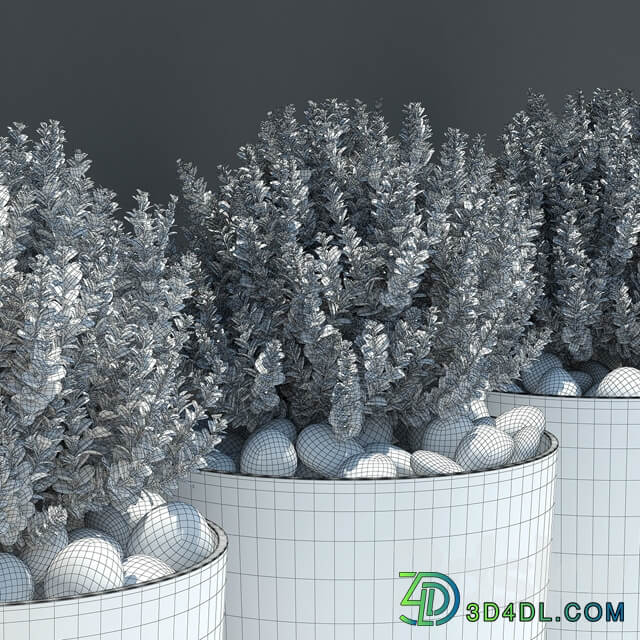 Ball plant 03 3D Models