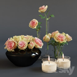 Plant Roses and candles 