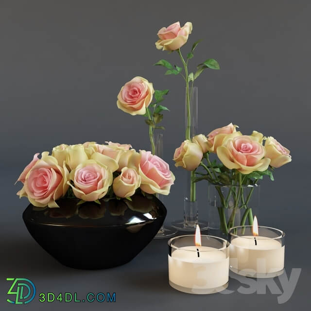 Plant Roses and candles