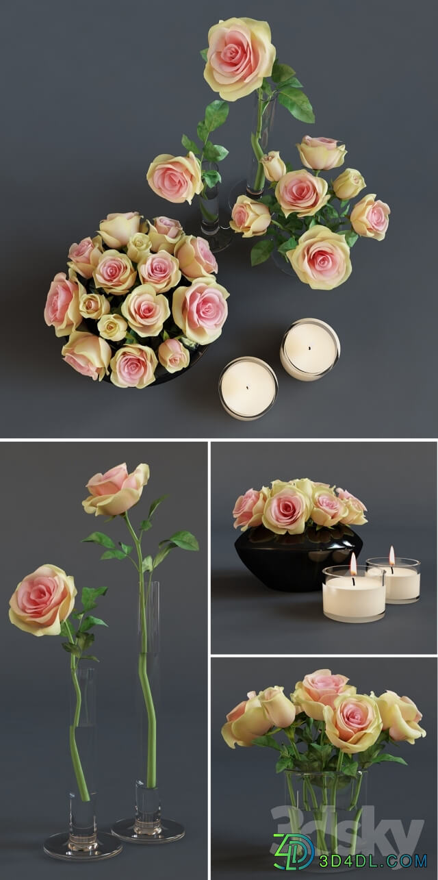 Plant Roses and candles