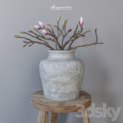 Magnolia in concrete vase 3D Models 