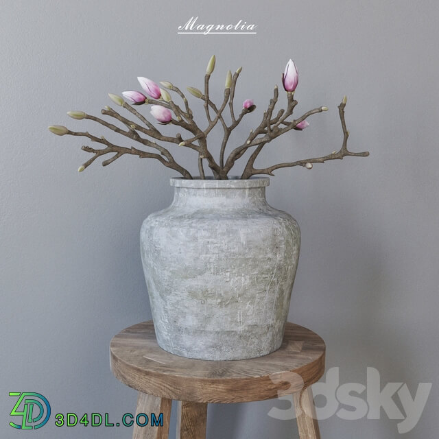 Magnolia in concrete vase 3D Models