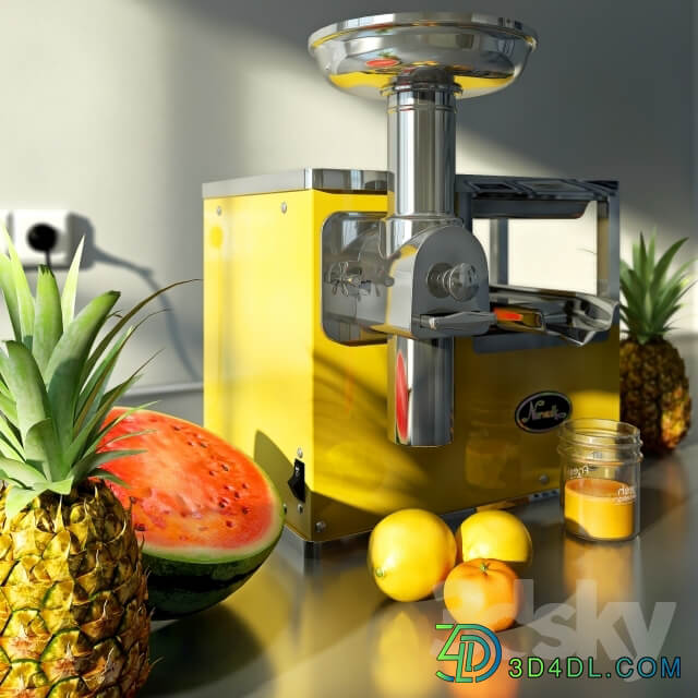 Norwalk juicer and fruit