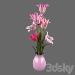 Tulips 3D Models 