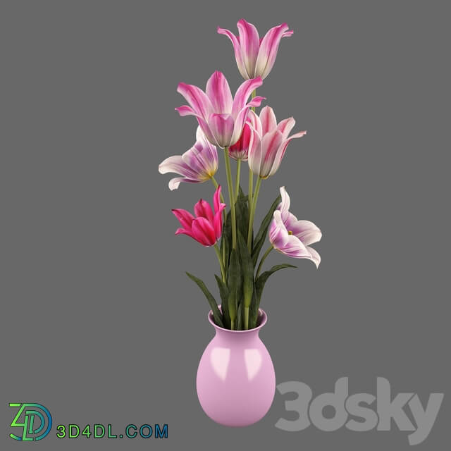 Tulips 3D Models