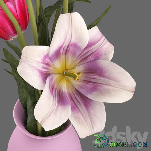 Tulips 3D Models