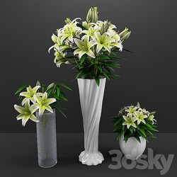 flowers 3D Models 