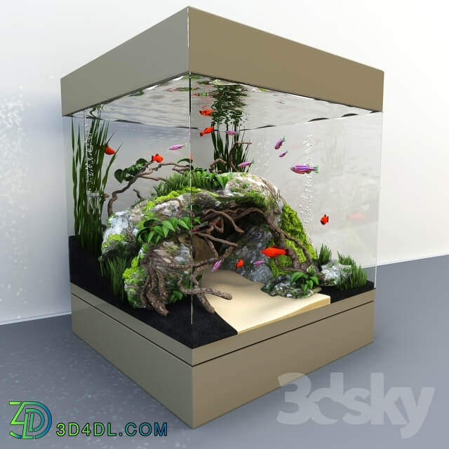 Aquarium