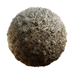 CGaxis Textures Physical 8 Ground Jungle Ice Lava jungle root ground 58 38 