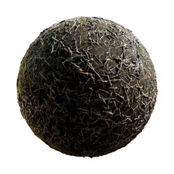 CGaxis Textures Physical 8 Ground Jungle Ice Lava wet forest ground 60 58 