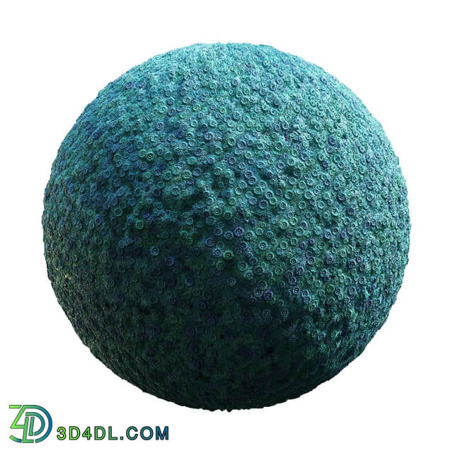 CGaxis Textures Physical 8 Organics blue coral reef 59 78