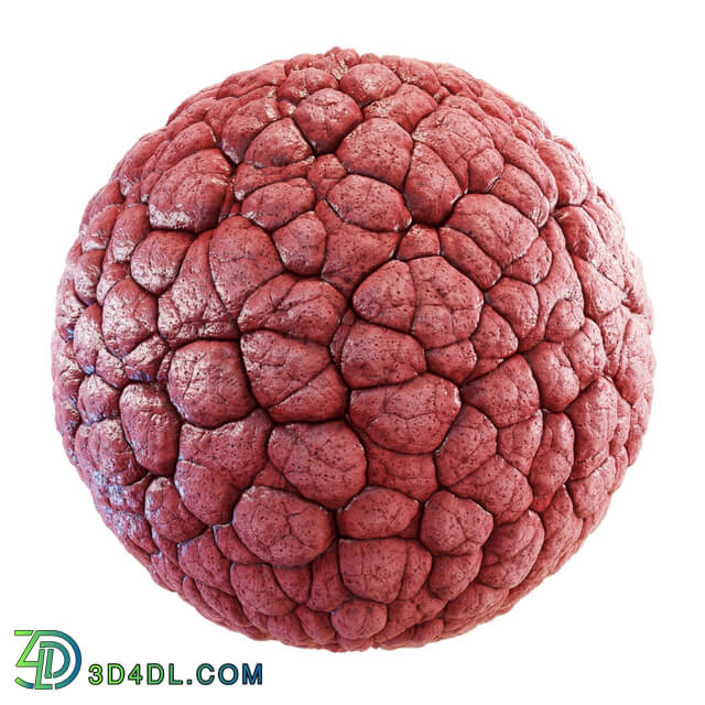 CGaxis Textures Physical 8 Organics brain guts 58 25