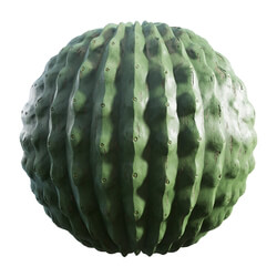 CGaxis Textures Physical 8 Organics cactus 60 74 