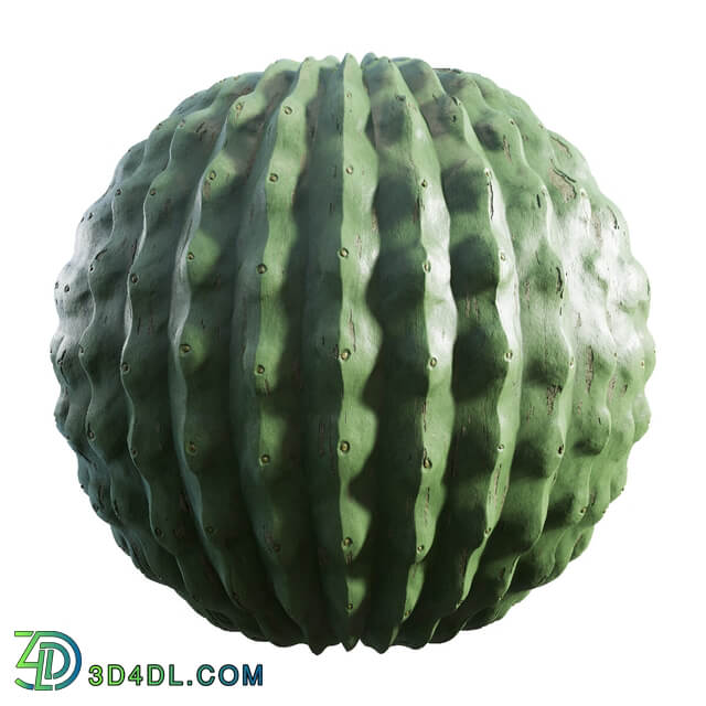 CGaxis Textures Physical 8 Organics cactus 60 74