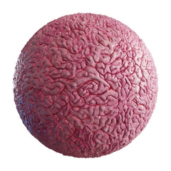 CGaxis Textures Physical 8 Organics purple alien brain 59 05 