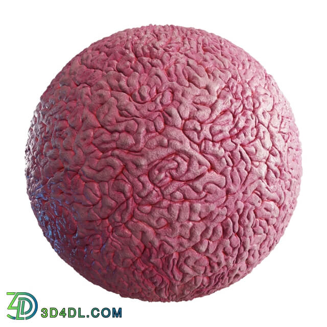 CGaxis Textures Physical 8 Organics purple alien brain 59 05