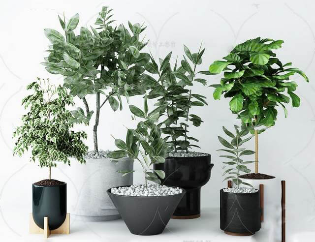 Indoor Hdt9rnbR