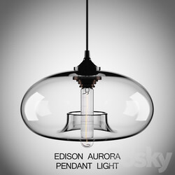 Edison Aurora Pendant Light Pendant light 3D Models 
