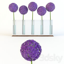 Decorative bow 3D Models 