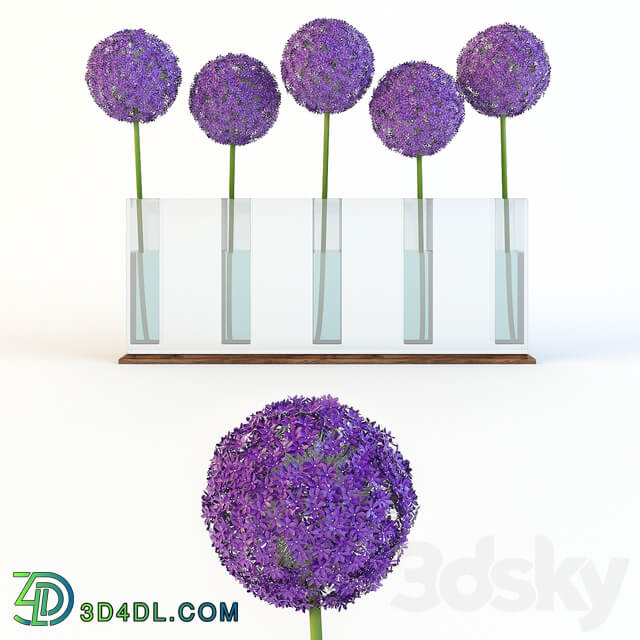 Decorative bow 3D Models