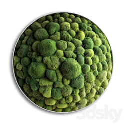 panel moss boulder Fitowall 3D Models 
