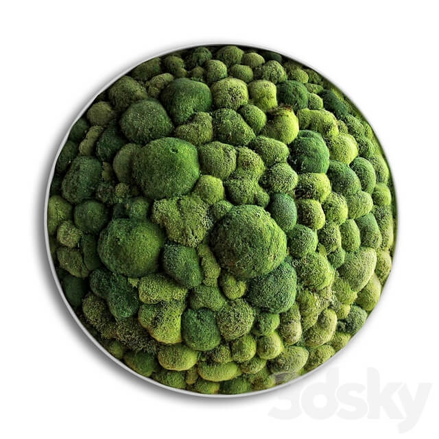 panel moss boulder Fitowall 3D Models
