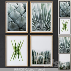 Cactus framed 