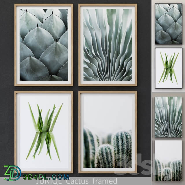Cactus framed