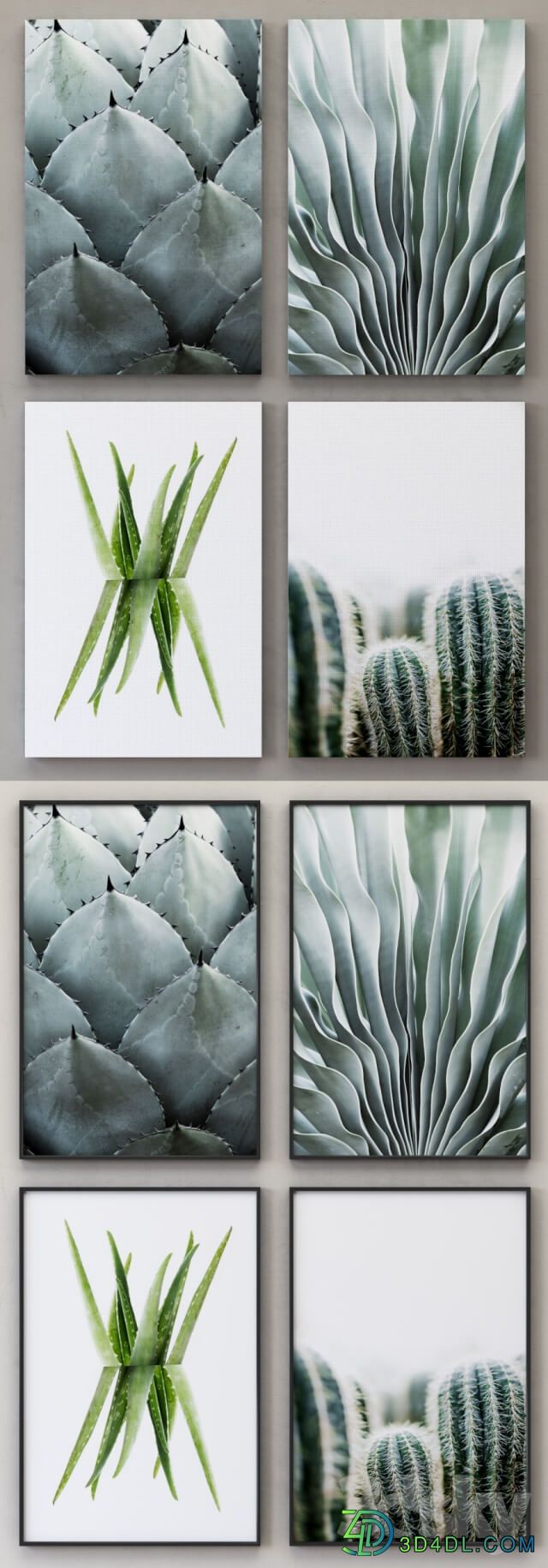 Cactus framed