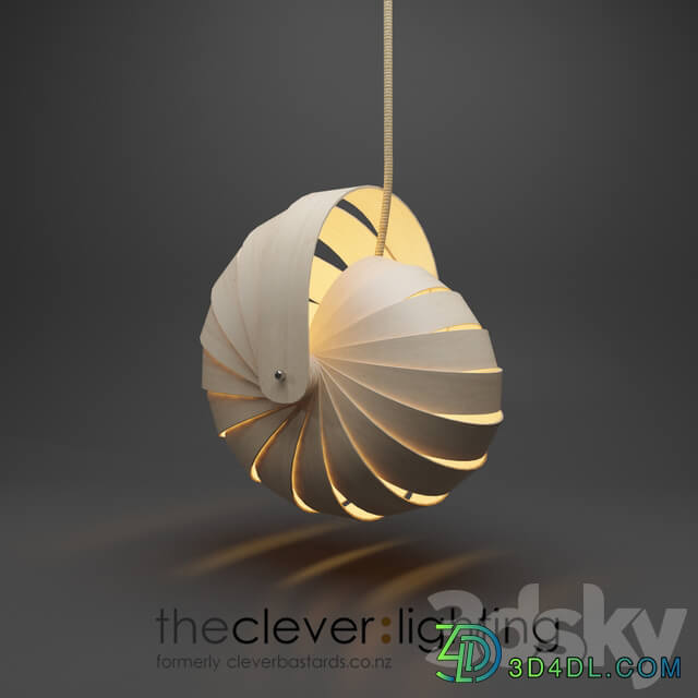 Lamp Nautilus Lightshade Natural Pendant light 3D Models