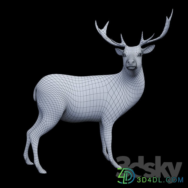 Forest deer