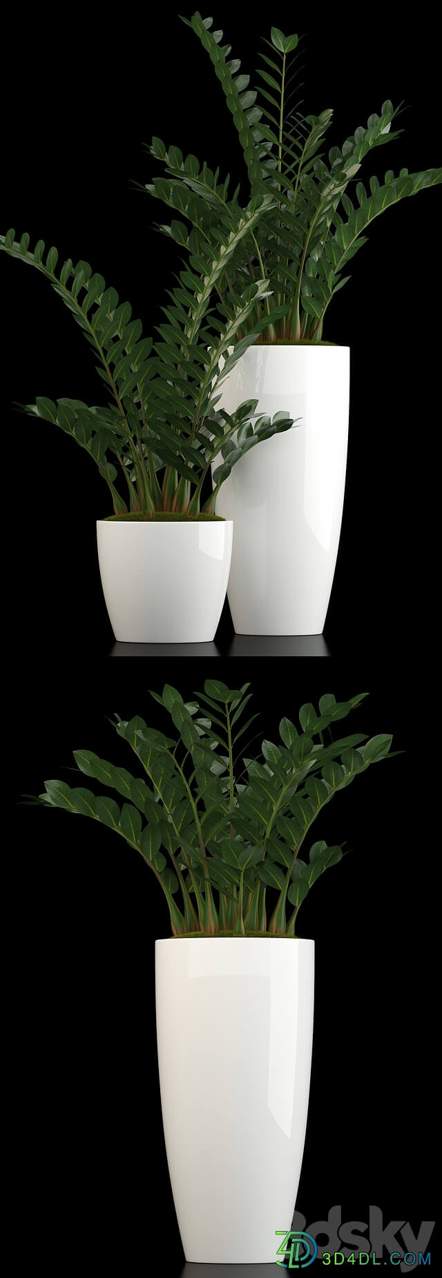 Plants collection 56 3D Models