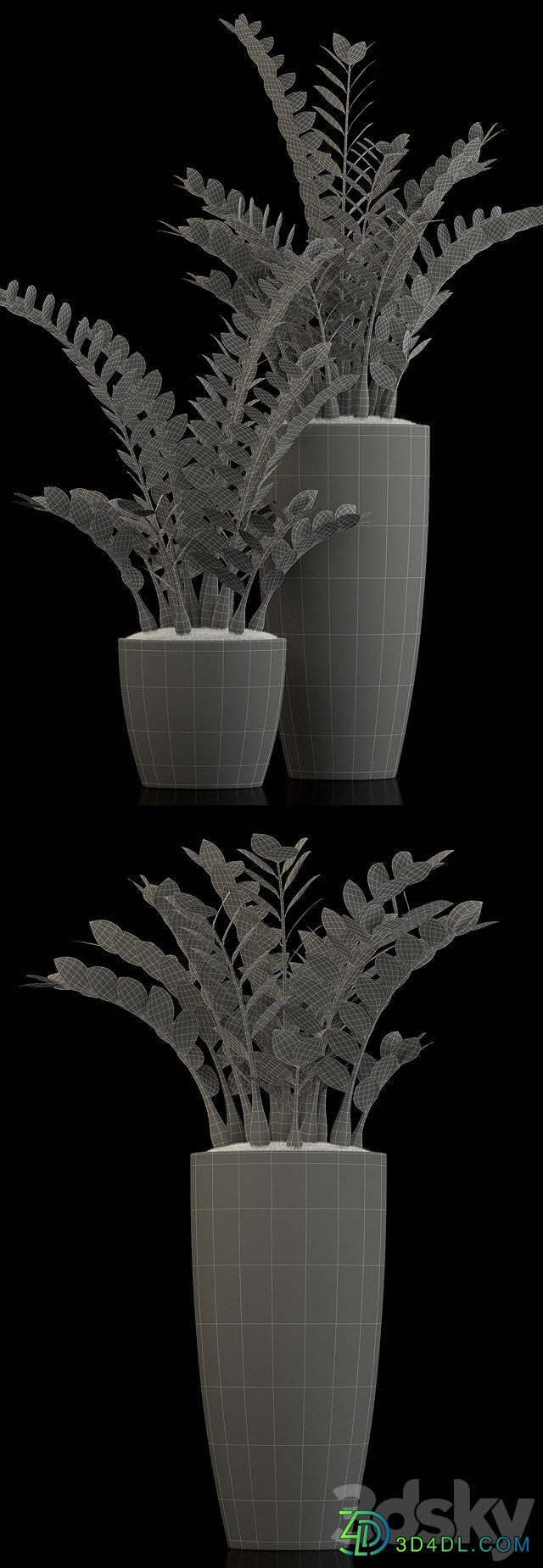 Plants collection 56 3D Models