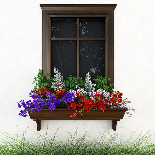 Petunia on the window 3D Models