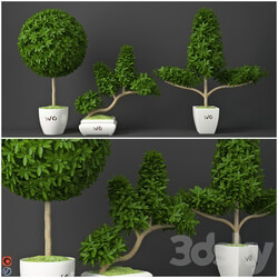 Houseplant 15 3D Models 
