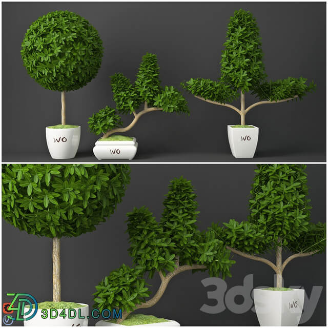 Houseplant 15 3D Models