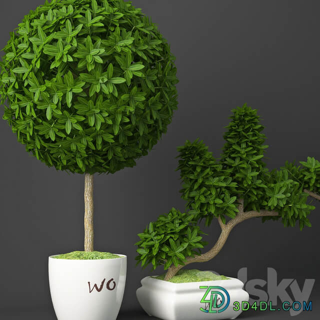 Houseplant 15 3D Models