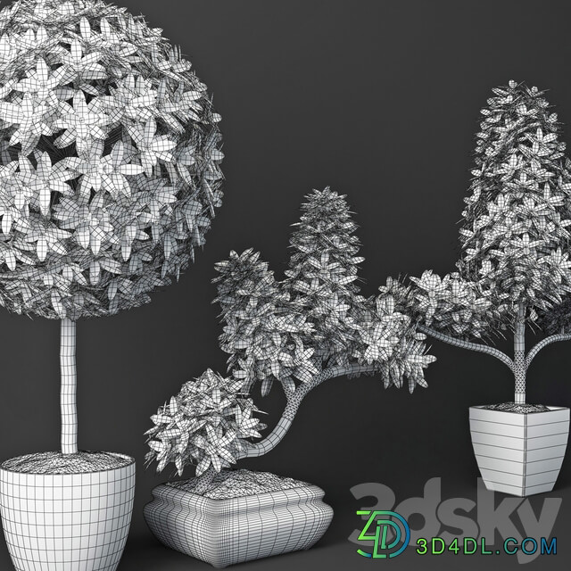 Houseplant 15 3D Models