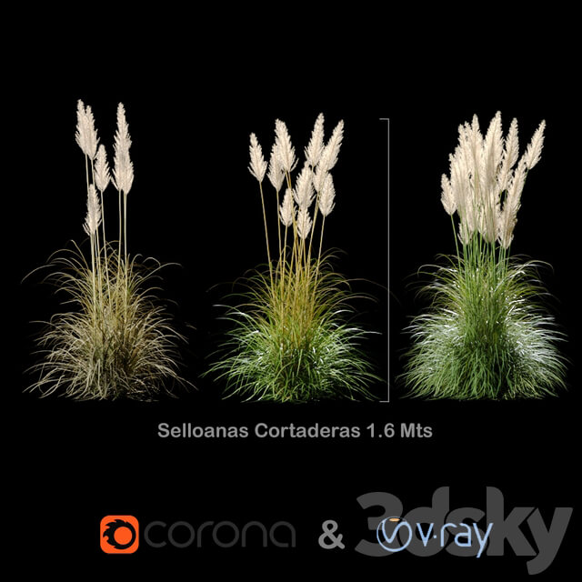 Selloanas Cortaderas Small 3D Models