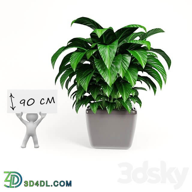 plant 3D Models