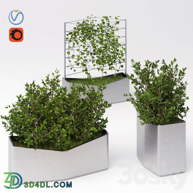 A set of elements of the accomplishment Strela from studio Artemy Lebedev 4 3D Models