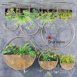 Circle shelves 3D Models 