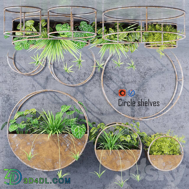 Circle shelves 3D Models