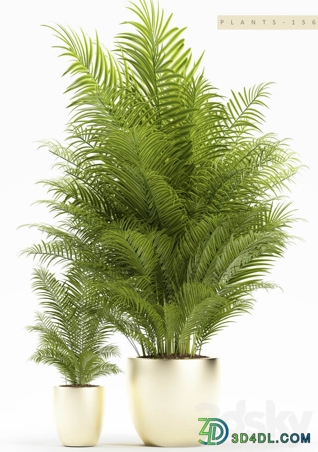 PLANTS 156 3D Models