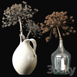 Old heracleum 2 3D Models 