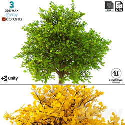 3D Model of the Bush No. 2 3D Models 