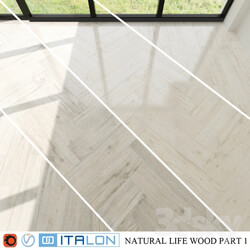 ITALON NATURAL LIFE WOOD 22 5X90 PART 1 